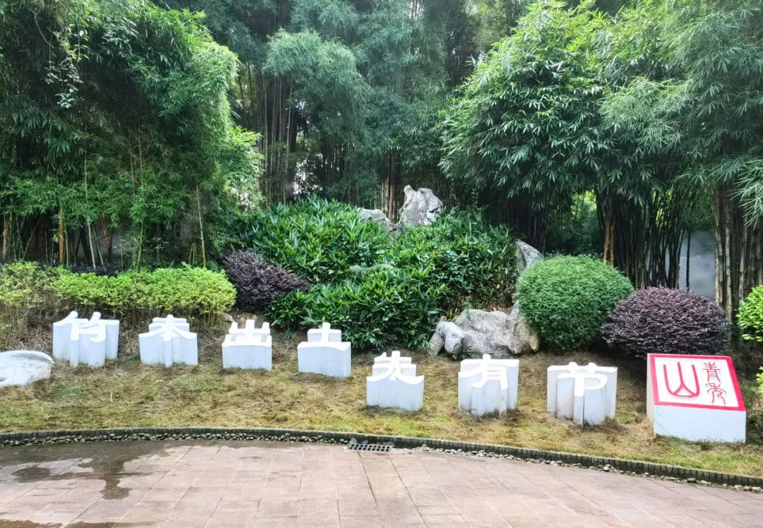 1_20200416015541c698a.jpeg 1_20200416015541c698a.jpeg